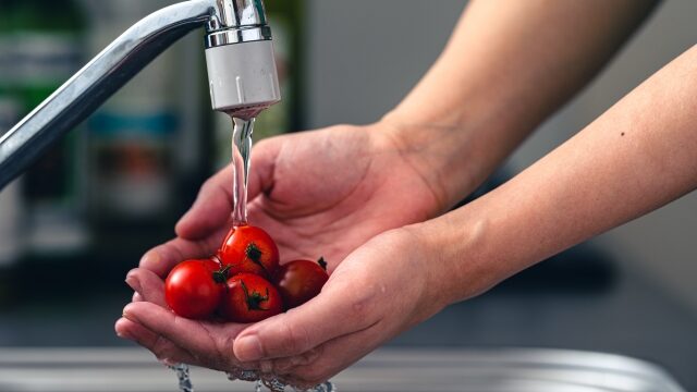 トマトを洗う