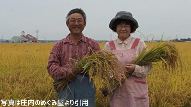 庄内めぐみ屋で紹介する有機栽培米の田んぼ