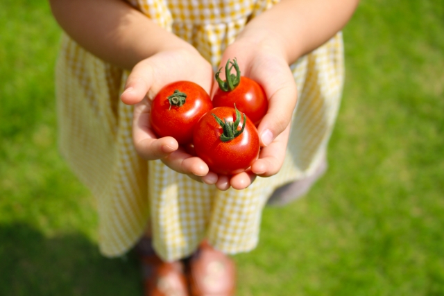 ミニトマトを持つ子供の手