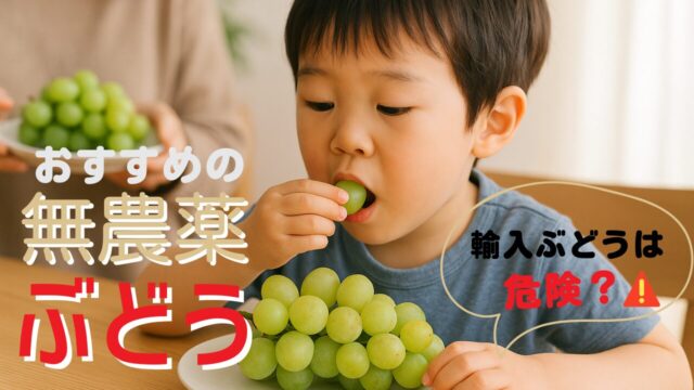 ブドウを食べる男の子