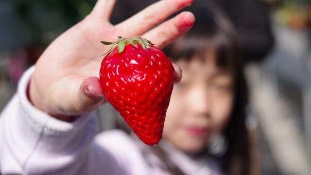 いちごを持つ女の子