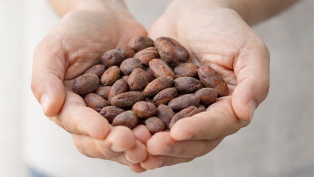 手のひらいっぱいのカオ豆