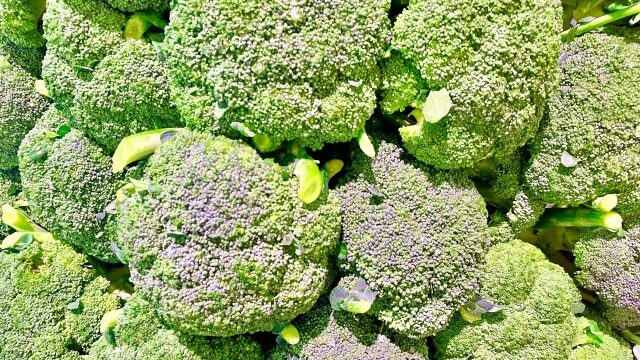 たくさん積み上げられたブロッコリー