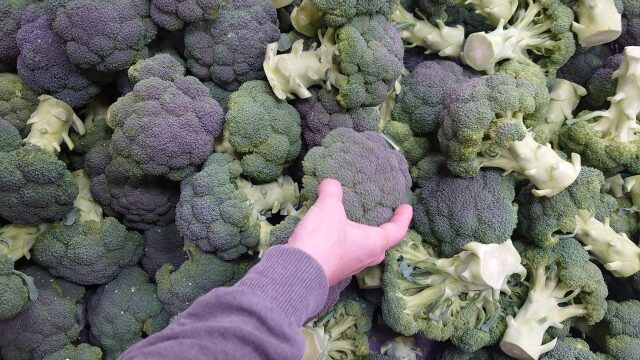 ブロッコリーに手を伸ばす女性