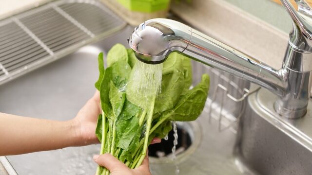 ほうれん草を水道の水で洗う人