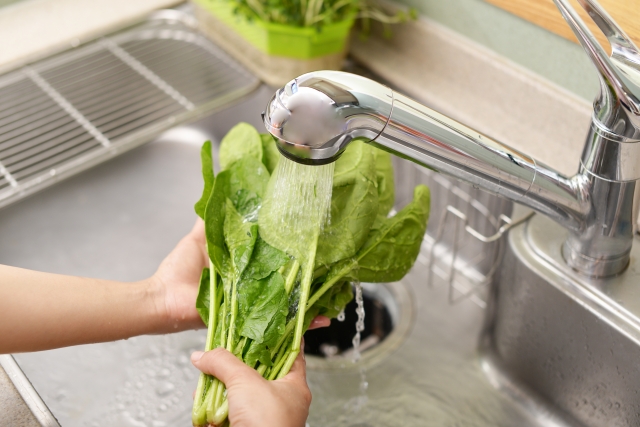 ほうれん草を水道の水で洗う人