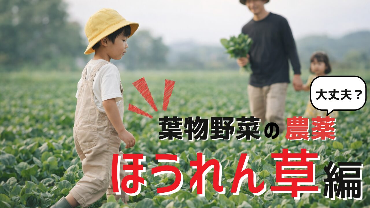 ほうれん草畑を歩く子どもと親の様子｜農薬が気になる家庭のイメージ