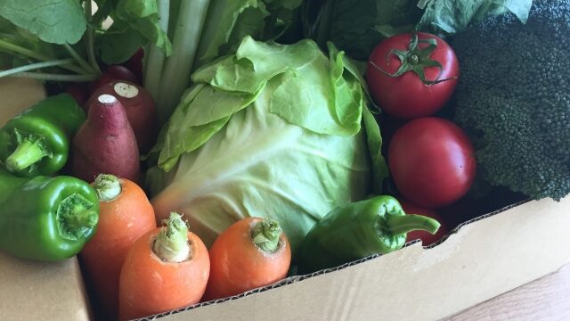 箱に入った有機野菜のイメージ