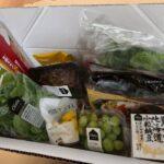 オイシックス食材が詰まった段ボールを開封｜オイシックスから届いたお試しセットの開封の儀の様子